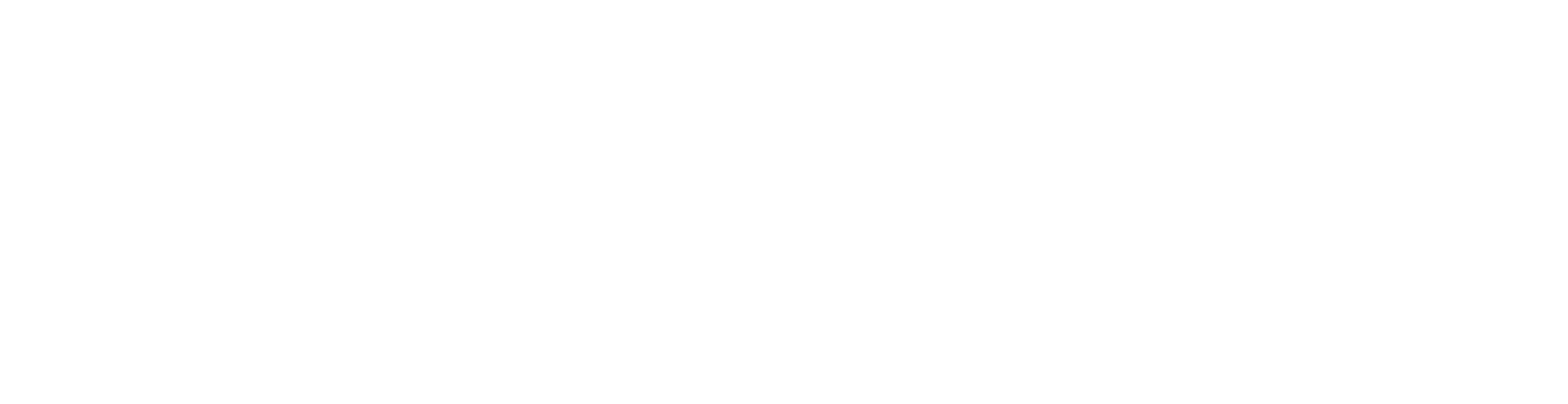 Gemini Marine-logo