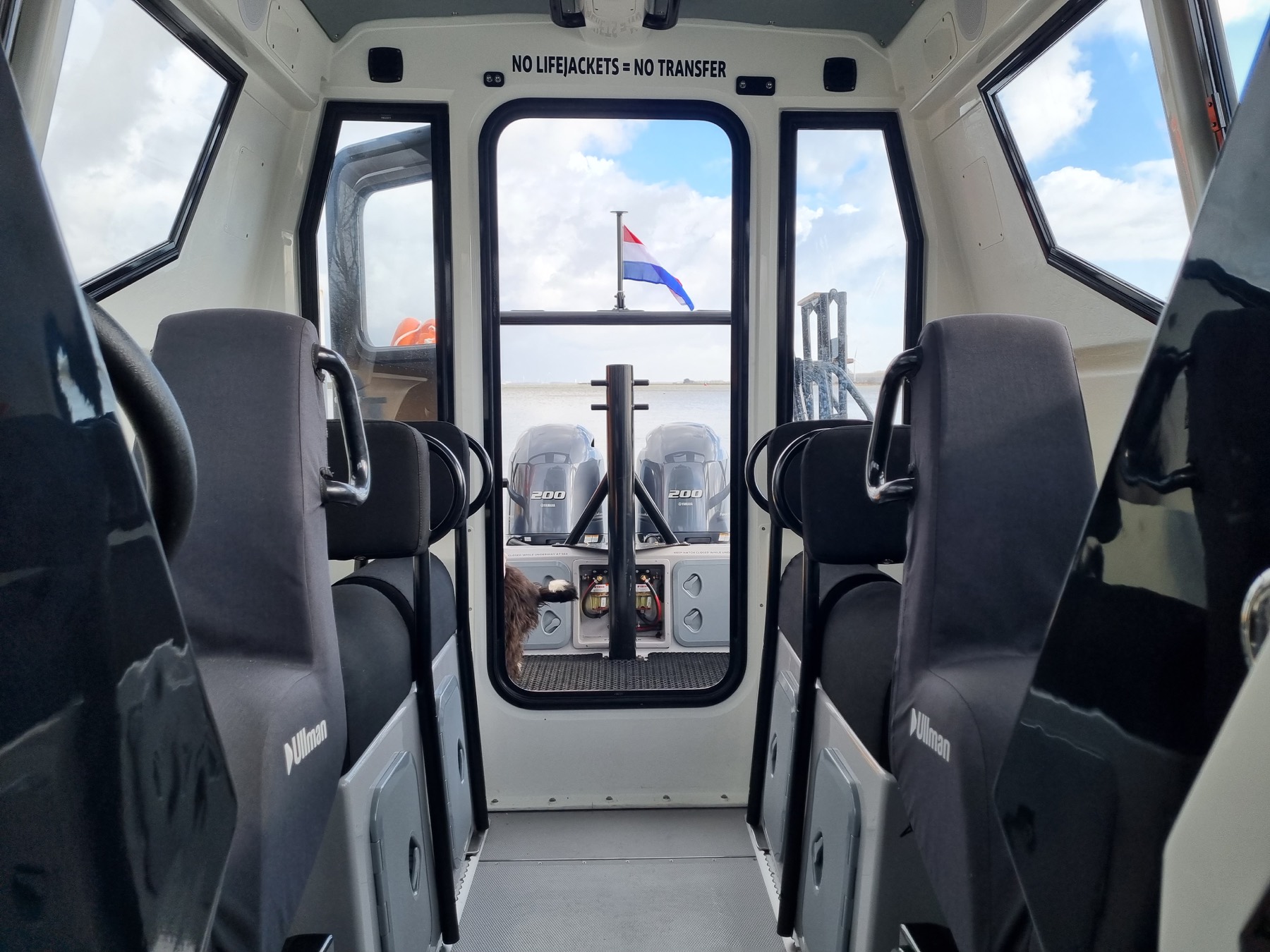 Gemini Marine WR880, gallery image 12
